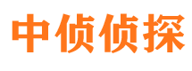 昌宁调查公司